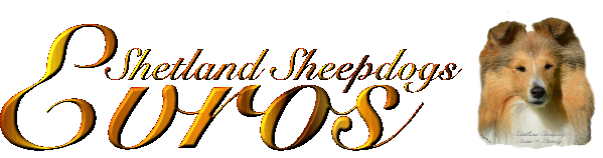 Evros Shetland Sheepdogs